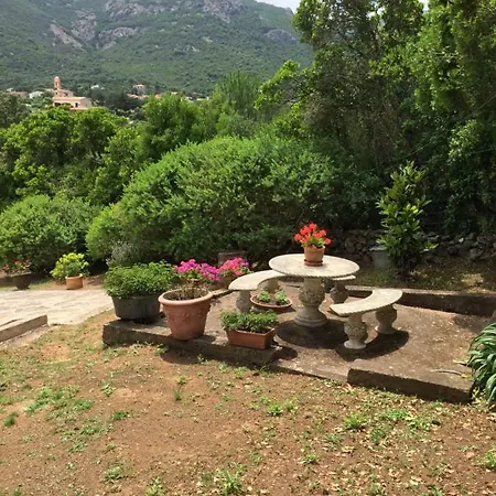 A Martinella 3*